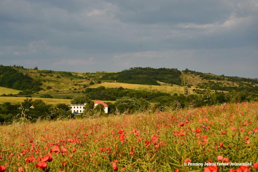 Jeleni Farma Jecmeniste Vrbovec Bagian luar foto